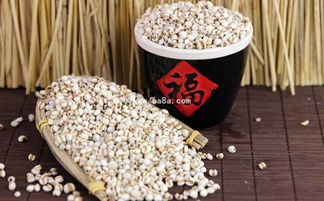 谷物營(yíng)養(yǎng)與棉花種植 食物與纖維的雙重視角