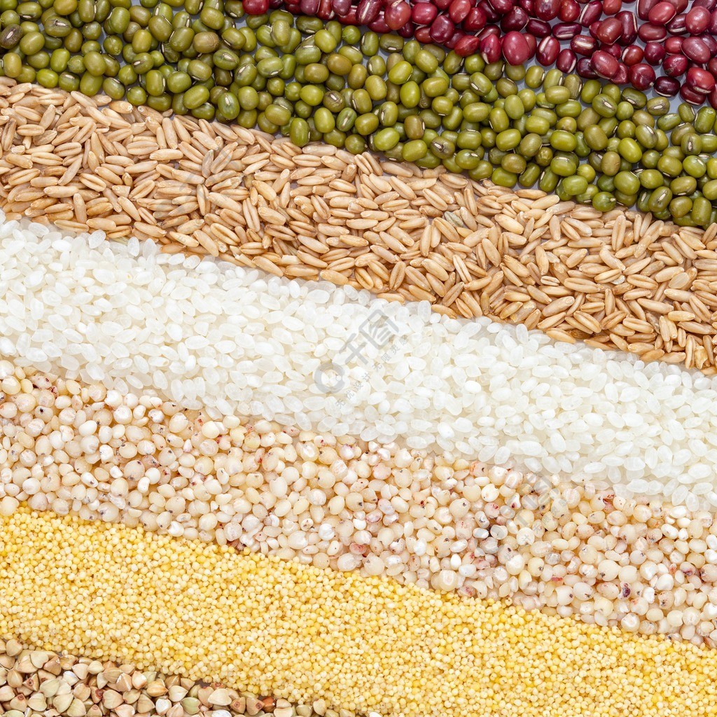 五谷豐登與棉花種植 農(nóng)業(yè)多樣化的視覺(jué)與內(nèi)涵